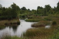 Ewiges Meer - Moorlandschaft