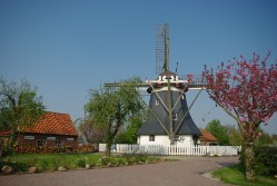 Windmühle in Werdum